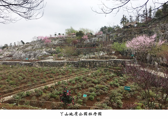 (918)ٷվ - 